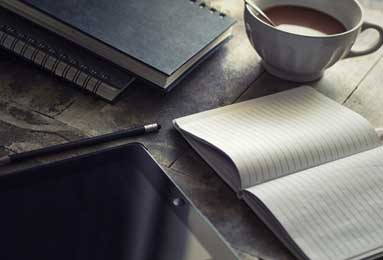 2008年篮网队NBA赛季：巅峰挑战与伤病考验